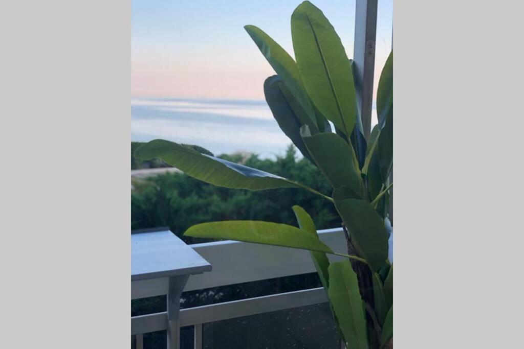 Charmant Studio Avec Terrasse Vue Mer A 50 M Sainte-Maxime Zewnętrze zdjęcie